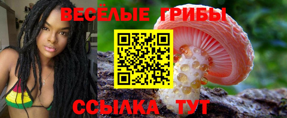 Псилоцибиновые грибы мицелий Биробиджан